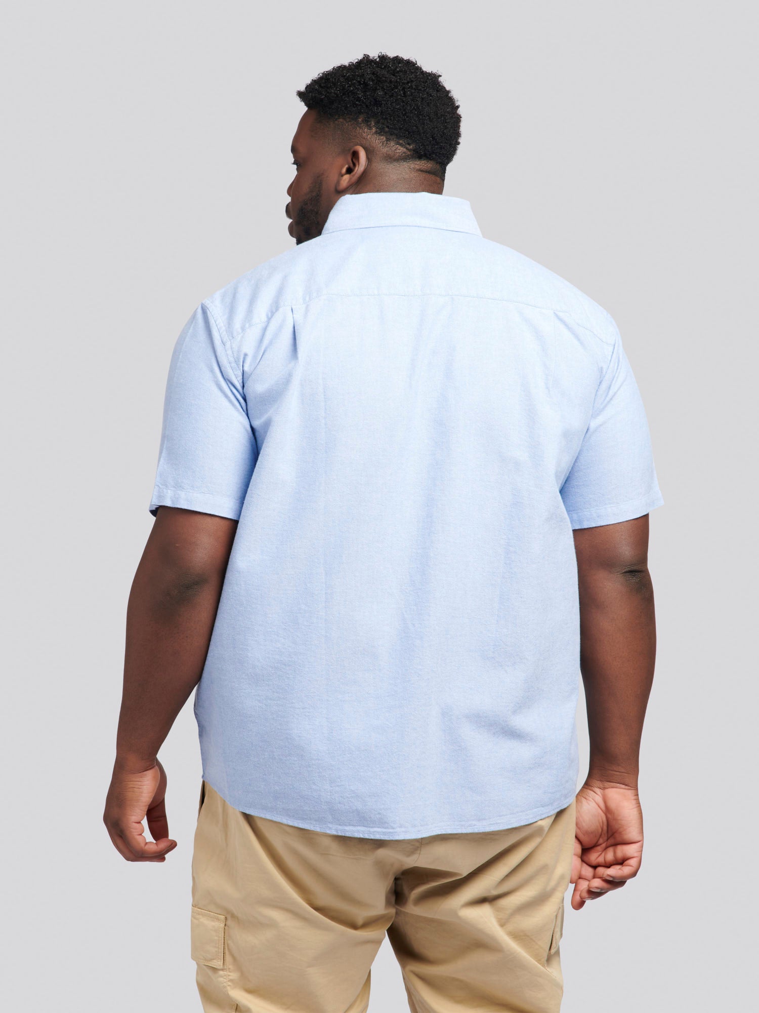 Mens Big & Tall Short Sleeve Oxford Shirt in Blue Yonder