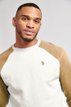 Mens Colour Block Sweatshirt in Tigers Eye