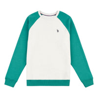 Mens Colour Block Sweatshirt in Ivy