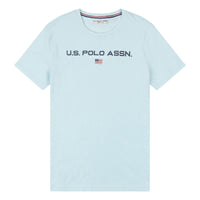 Mens Block Flag Graphic T-Shirt in Blue Glow