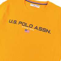 Mens Block Flag Graphic T-Shirt in Apricot