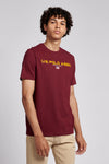 Mens Block Flag Graphic T-Shirt in Windsor Wine