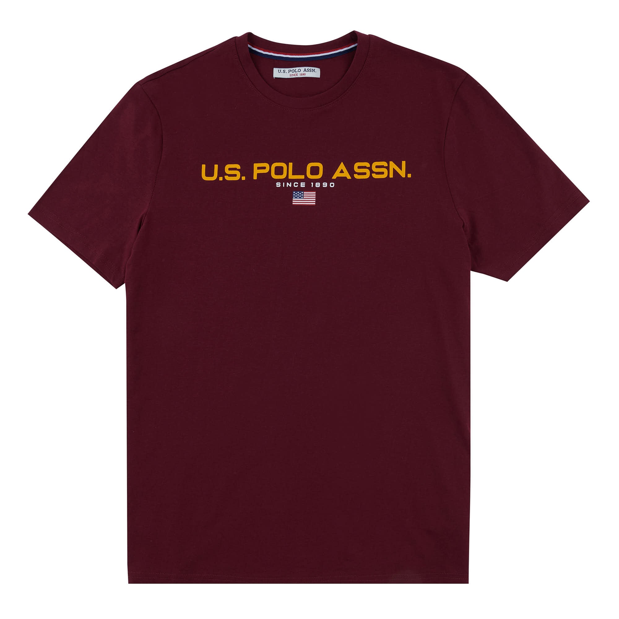 Mens Block Flag Graphic T-Shirt in Windsor Wine