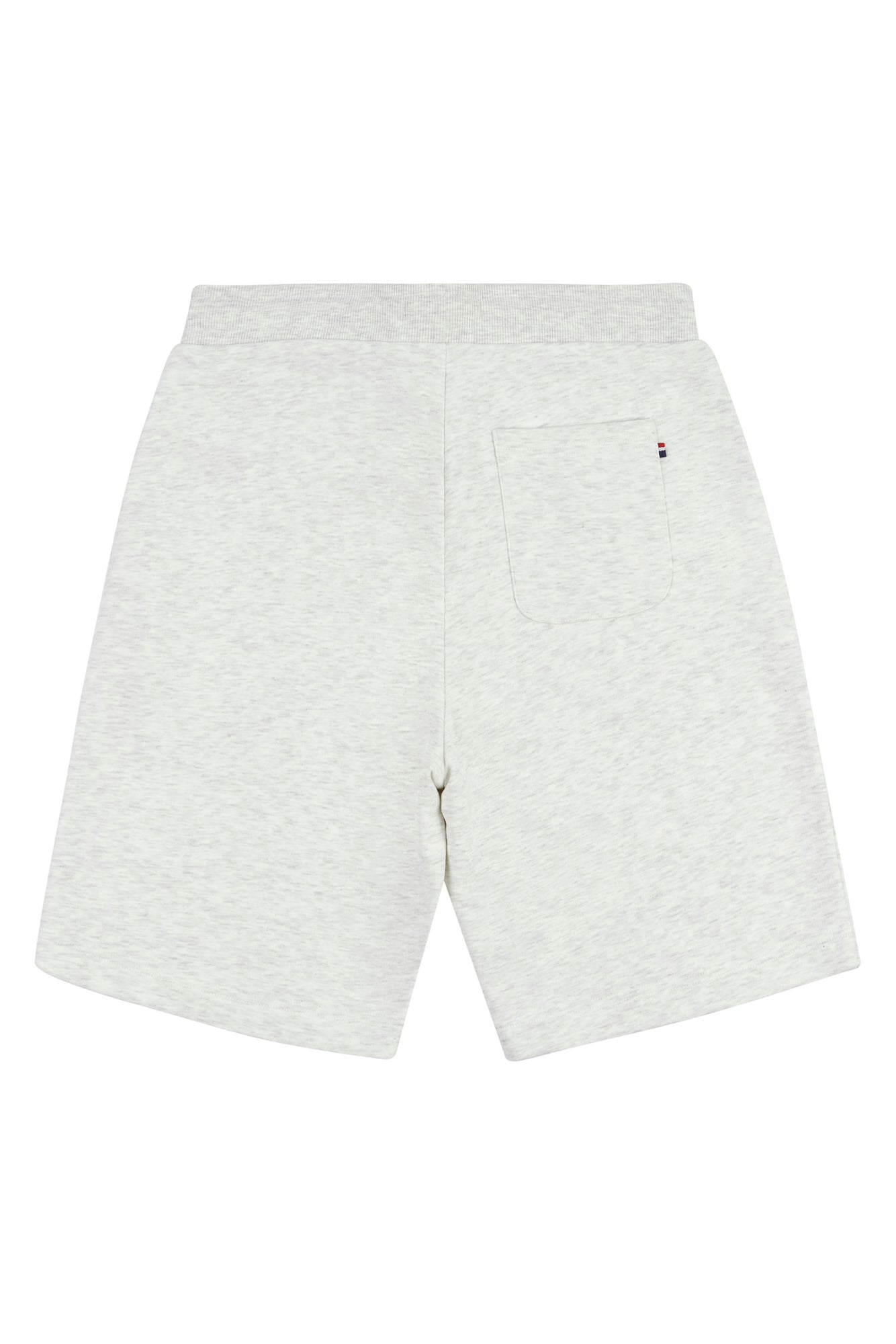 Mens Block Flag Graphic Shorts in Light Grey Marl