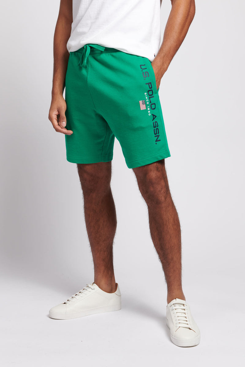 polo flag shorts