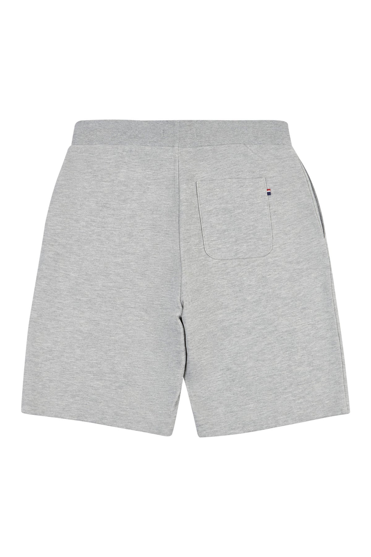 Mens Block Flag Graphic Shorts in Vintage Grey Heather