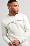 Mens Block Flag Graphic Crew Neck Sweatshirt in Light Grey Marl