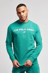 Mens Block Flag Graphic Crew Neck Sweatshirt in Ivy