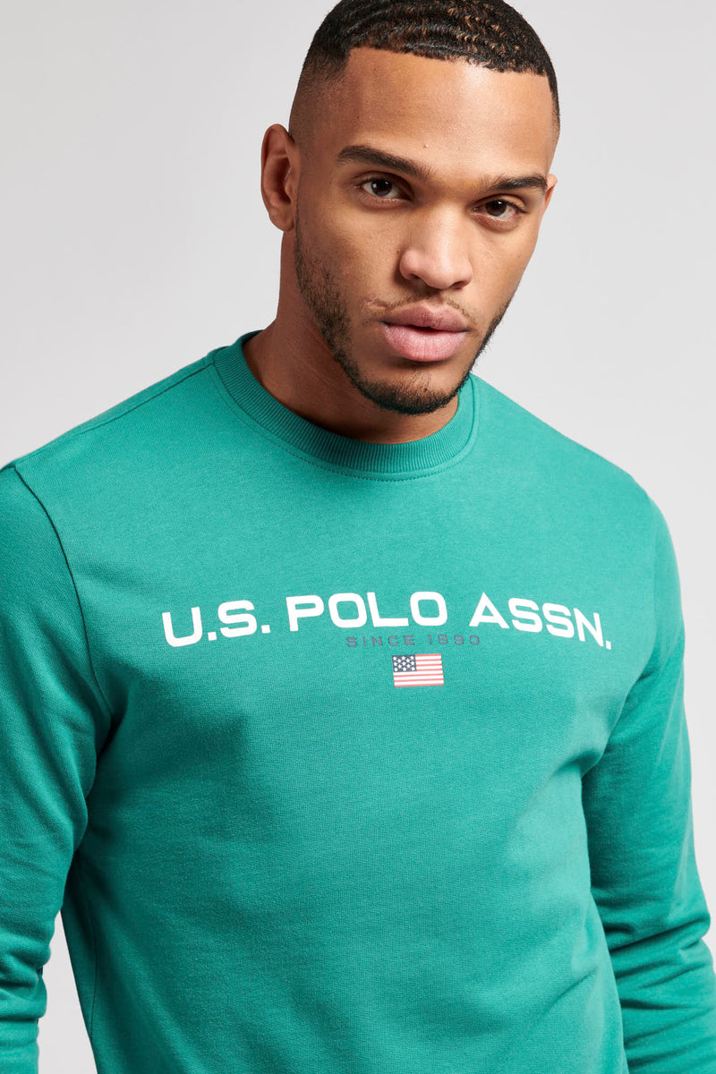 Mens Block Flag Graphic Crew Neck Sweatshirt in Ivy