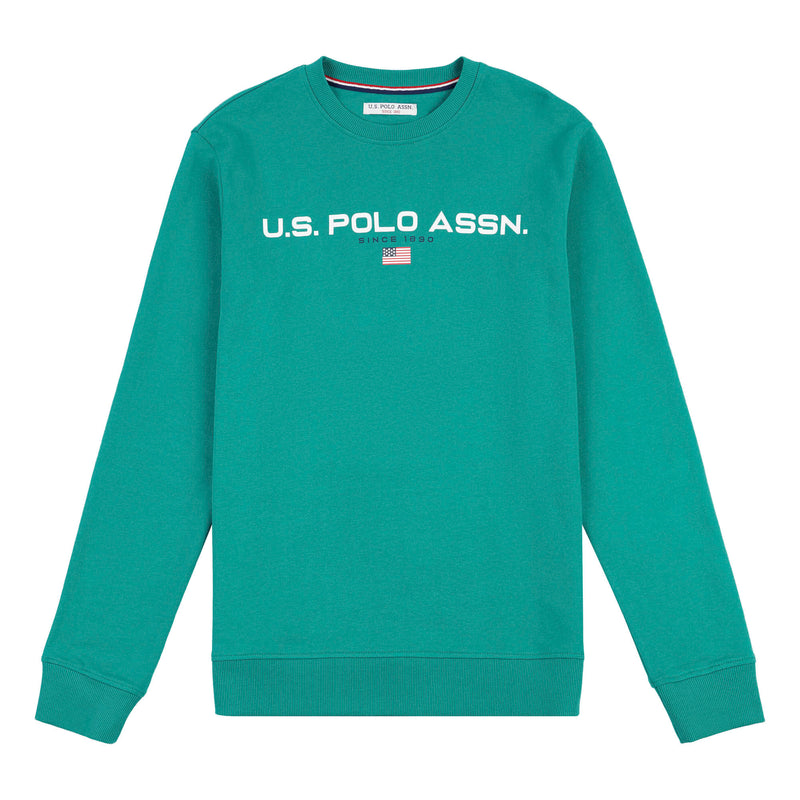 Mens Block Flag Graphic Crew Neck Sweatshirt in Ivy