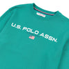 Mens Block Flag Graphic Crew Neck Sweatshirt in Ivy