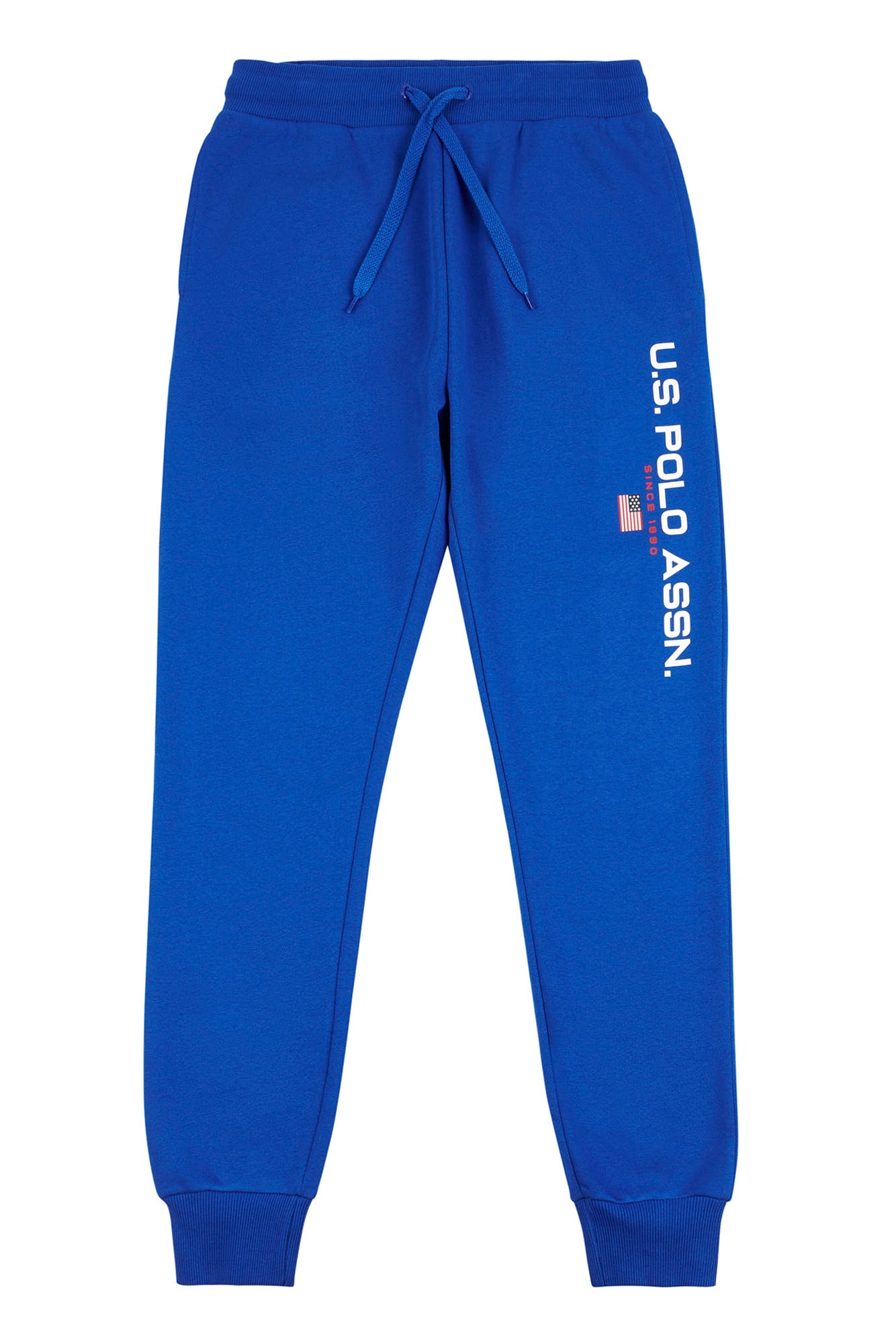 Mens Block Flag Graphic Joggers in Classic Blue