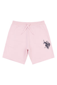 Mens Large Horsemen Shorts in Orchid Pink