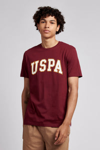 Mens USPA Arch Graphic T-Shirt in Windsor Wine