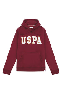 Mens Graphic Hoodie in Windsor Wine