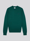 Mens Lightweight Crew Neck Jumper in Rain Forest