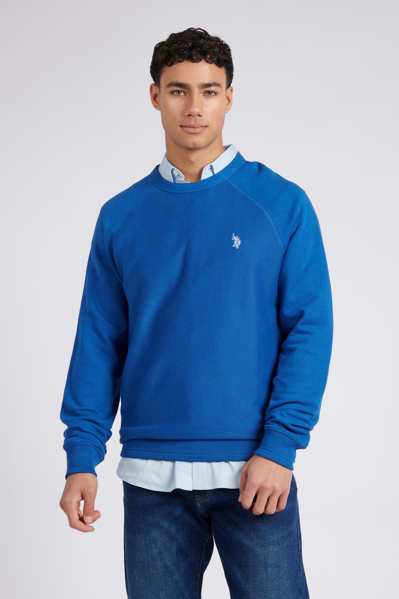 Mens Classic Fit Texture Reverse Sweatshirt in Deja Vu Blue