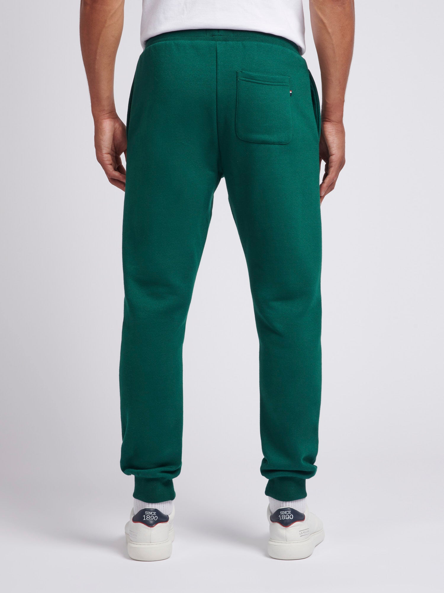 Mens Player 3 Joggers in Rain Forest