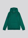 Mens Player 3 Hoodie in Rain Forest