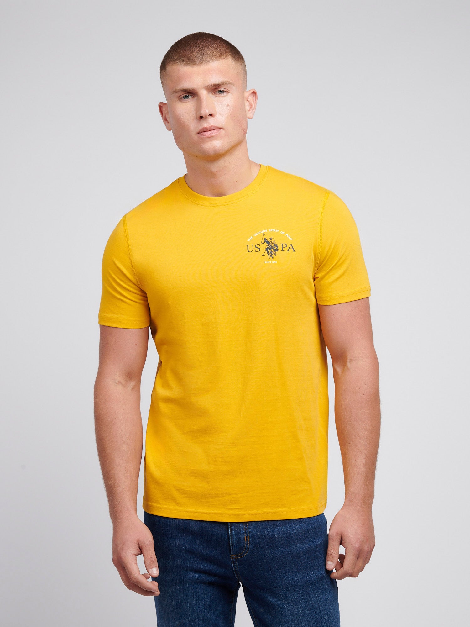 Mens Back Graphic T-Shirt in Mango Mojito