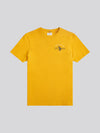 Mens Back Graphic T-Shirt in Mango Mojito