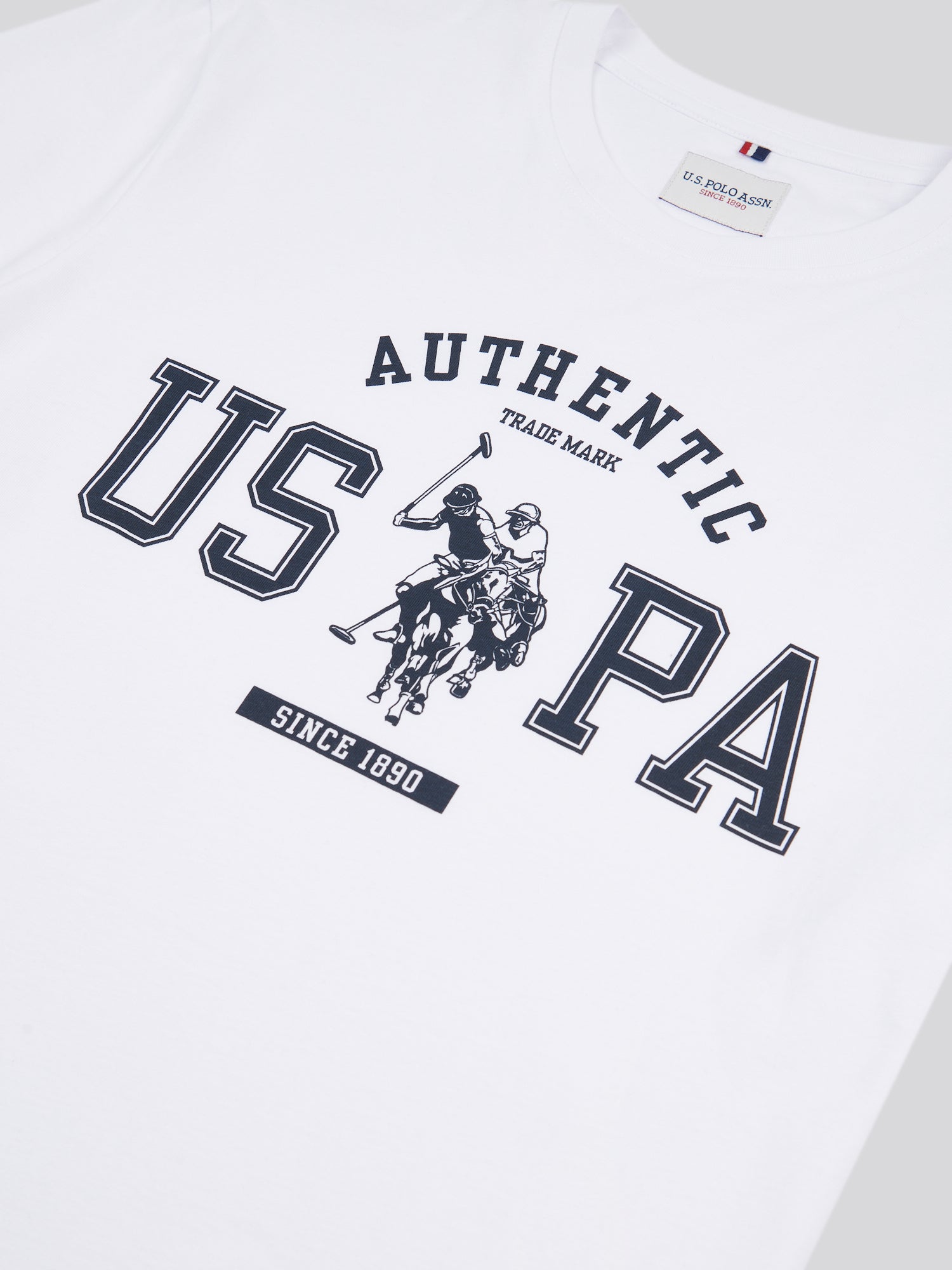 Mens Authentic Graphic T-Shirt in Bright White