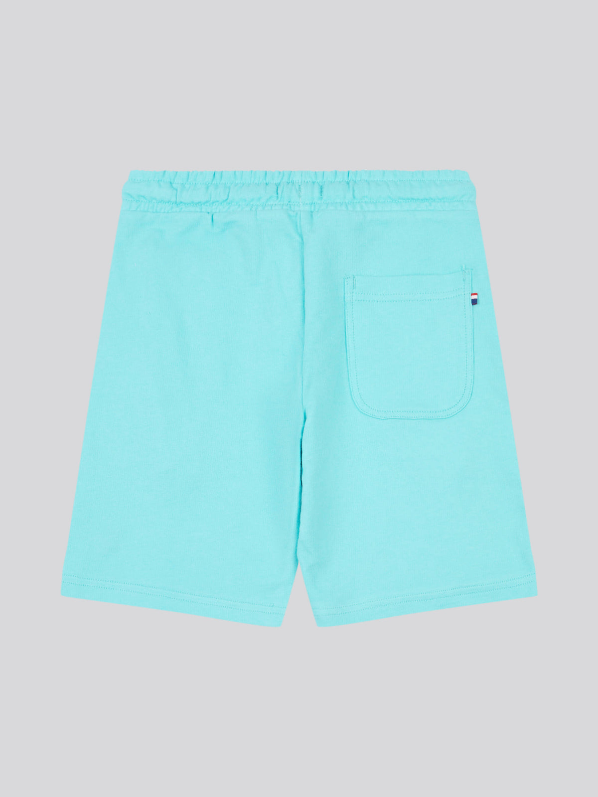 Boys Sweat Shorts in Blue Radiance