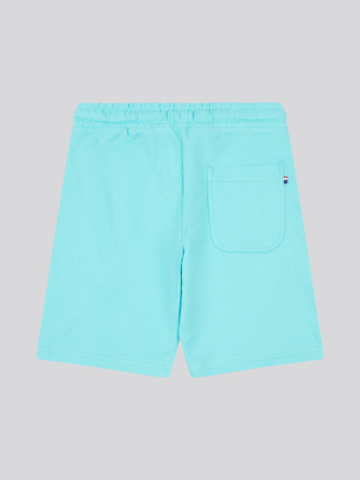 Boys Sweat Shorts in Blue Radiance