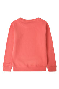 Boys 1890 Crew Neck Sweatshirt in Spiced Coral