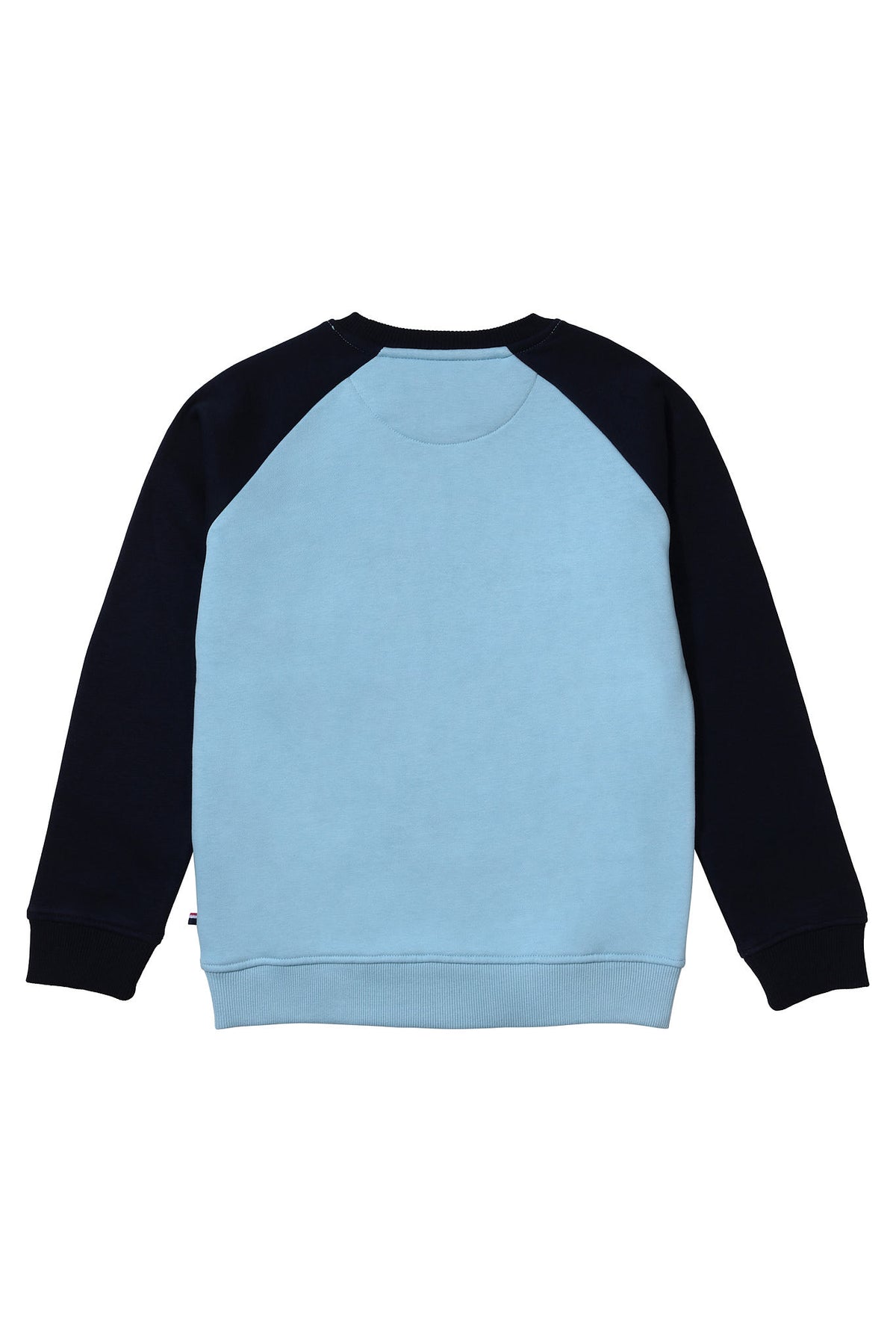 Boys Authentic Raglan Crew Neck Sweatshirt in Blue Bell