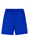 Boys Block Flag Graphic Shorts in Nautical Blue