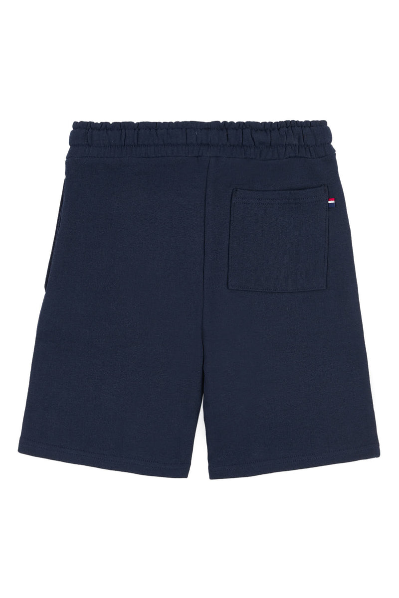 Boys Block Flag Graphic Shorts in Navy Blue