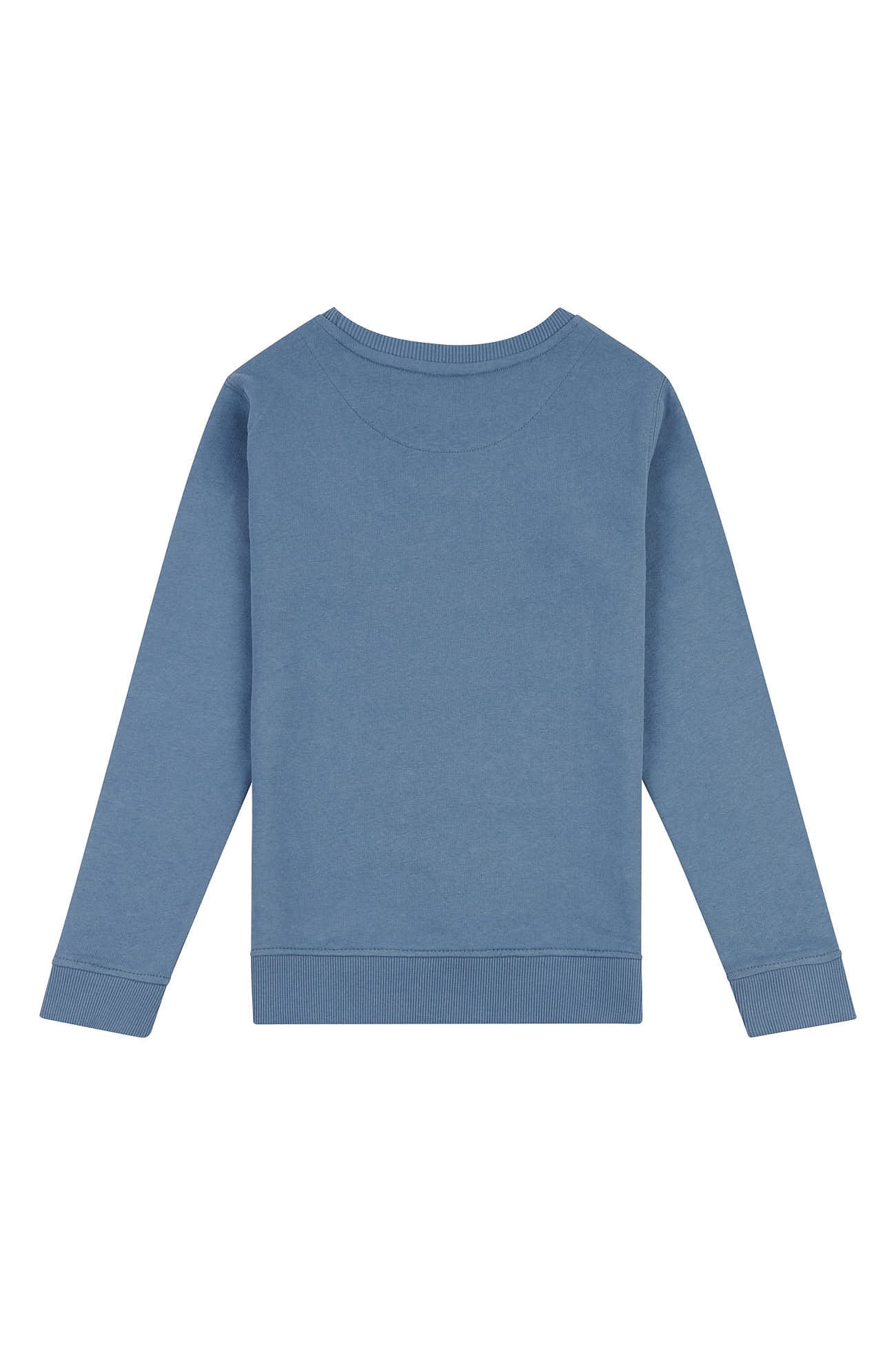 Boys College Arch Crew Neck Sweatshirt in China Blue