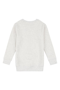 Boys Authentic USPA Crew Neck Sweatshirt in Light Grey Marl