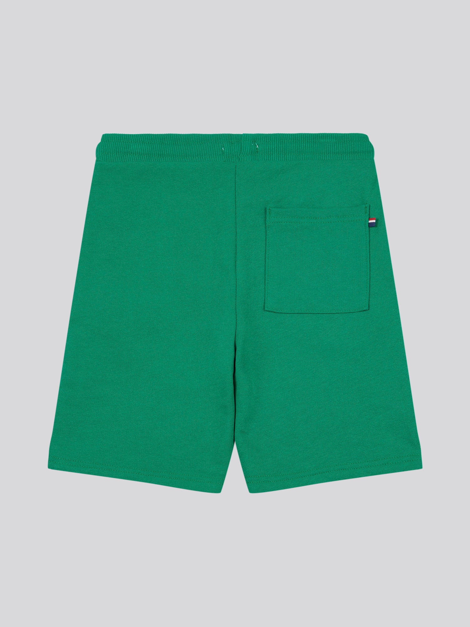 Boys Largo Logo Sweat Shorts in Ultramarine Green