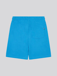 Boys Player 3 Sweat Shorts in Campanula