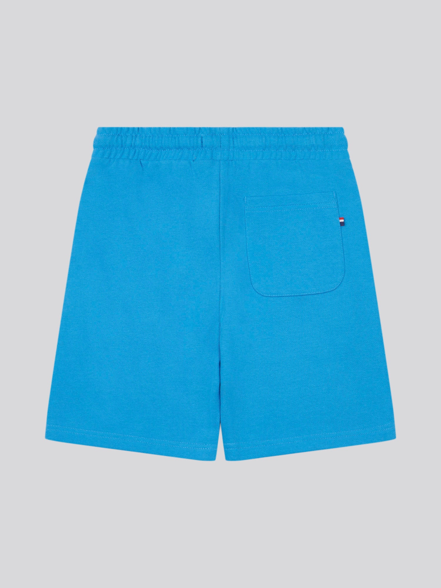 Boys Player 3 Sweat Shorts in Campanula