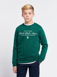 Boys Premium Graphic Crew Sweatshirt in Rain Forest