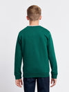 Boys Premium Graphic Crew Sweatshirt in Rain Forest