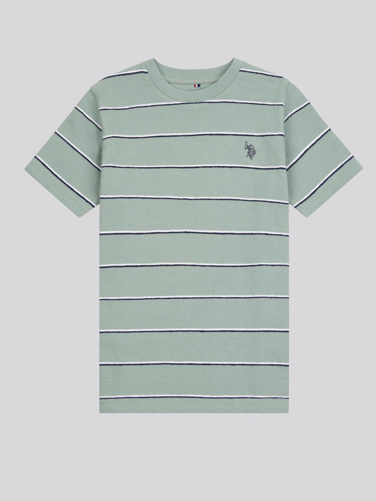 Boys Texture Stripe T-Shi in Chinois Green