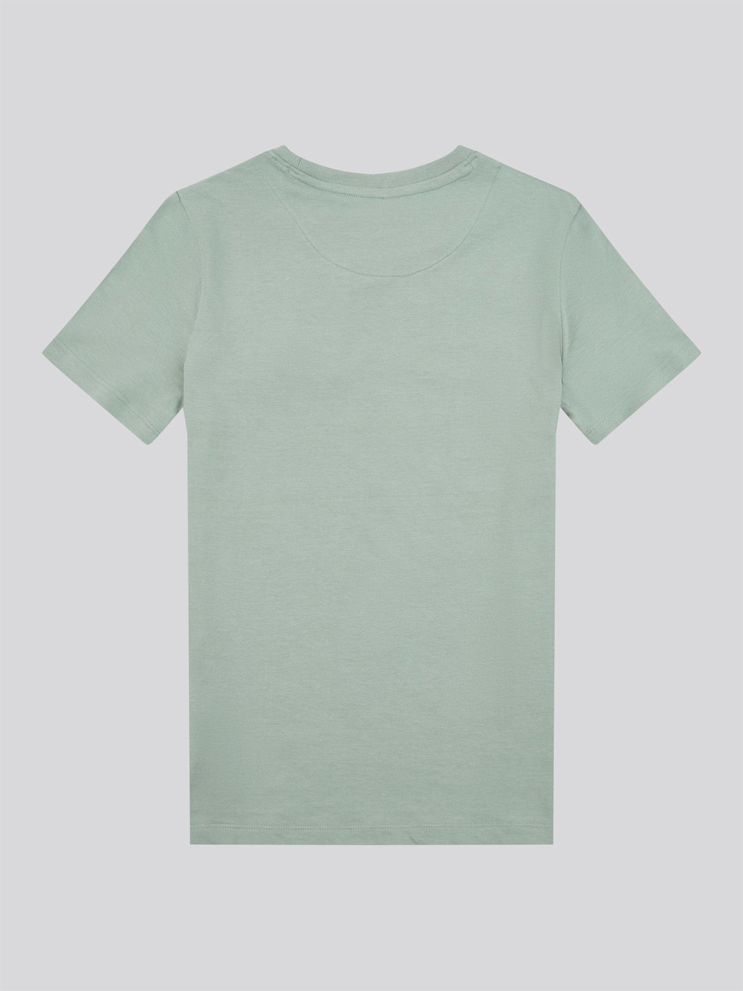 Boys Signature Arch T-Shirt in Chinois Green