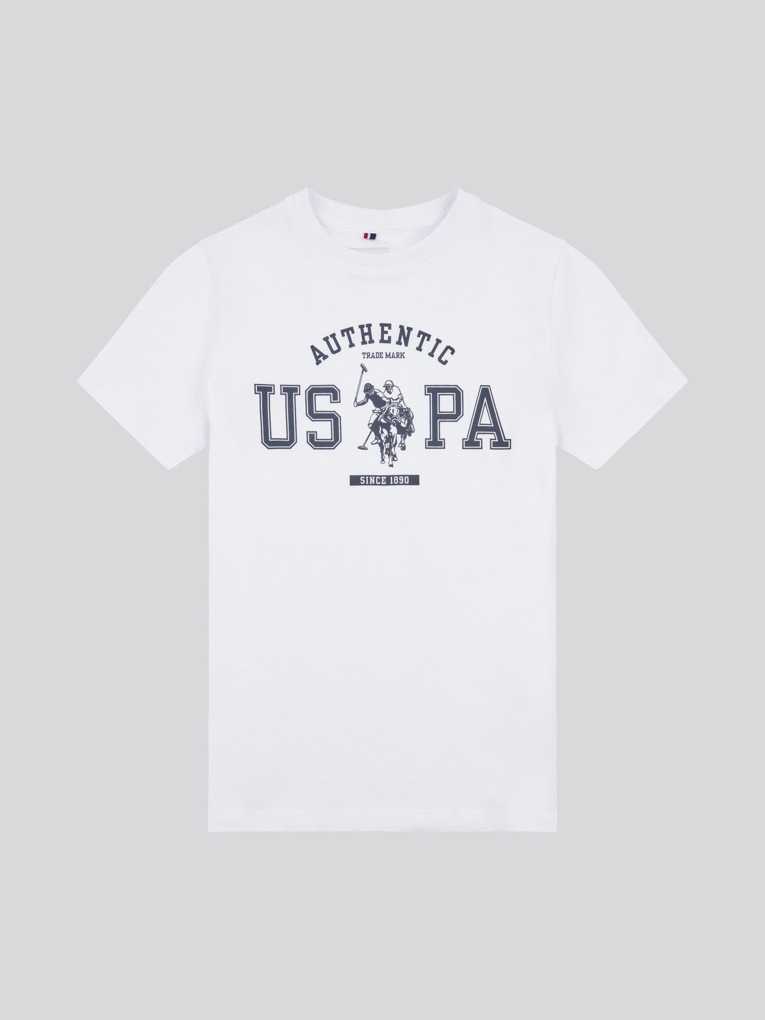 Boys Authentic Graphic T-Shirt in Bright White