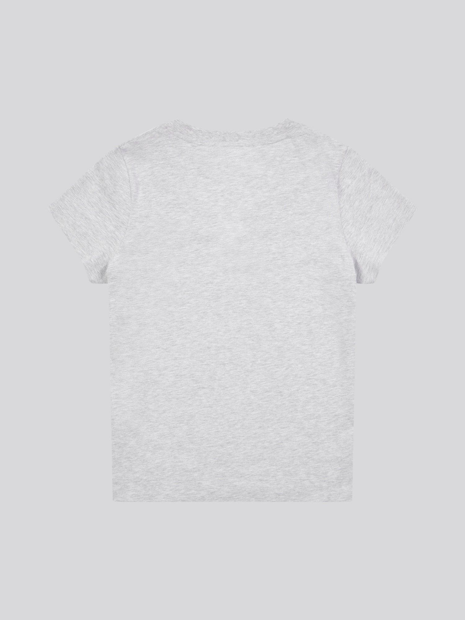 Womens V-Neck T-Shirt in Pearl Grey Marl